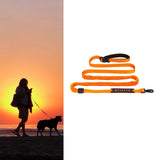 Maxbell Hands Free Leash Waist Pet Leash Shock Absorbing for Running Dog Chain Orange