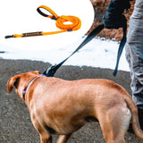 Maxbell Hands Free Leash Waist Pet Leash Shock Absorbing for Running Dog Chain Orange