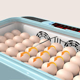 Maxbell Egg Incubator Temperature Control LED Display for Chicks Pigeon Goose 15 Eggs