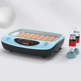 Maxbell Egg Incubator Temperature Control LED Display for Chicks Pigeon Goose 15 Eggs
