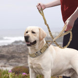 Maxbell Elastic Bungee Training Walking Metal Buckle Dog Leash Handle Khaki