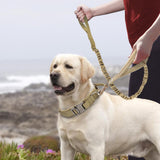Maxbell Elastic Bungee Training Walking Metal Buckle Dog Leash Handle Dark Green