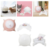 Maxbell Feeding Station Puppy Feeder for Kittens Rabbits Puppies 150ml
