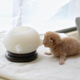 Maxbell Feeding Station Puppy Feeder for Kittens Rabbits Puppies 150ml
