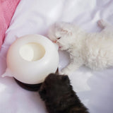 Maxbell Feeding Station Puppy Feeder for Kittens Rabbits Puppies 150ml
