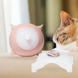 Maxbell Feeding Station Puppy Feeder for Kittens Rabbits Puppies 350ml