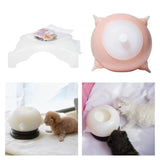 Maxbell Feeding Station Puppy Feeder for Kittens Rabbits Puppies 350ml
