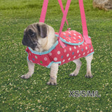 Maxbell Hands Free Carrier Backpack Comfortable Pet Slings Bag for Camping XS