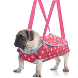 Maxbell Hands Free Carrier Backpack Comfortable Pet Slings Bag for Camping XS