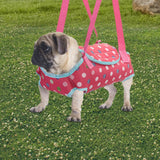 Maxbell Hands Free Carrier Backpack Comfortable Pet Slings Bag for Camping M