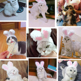 Maxbell Dog Cat Headwear Rabbit Ears Accessories Pet Costume for Photograph Birthday