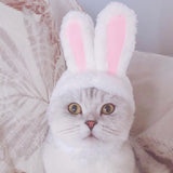 Maxbell Dog Cat Headwear Rabbit Ears Accessories Pet Costume for Photograph Birthday