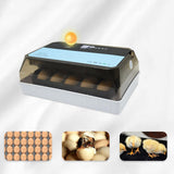 Maxbell Egg Incubator Automatic Egg Turner with Light Household for Quail Birds Eggs