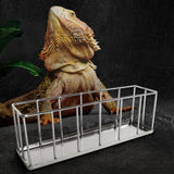 Maxbell Hollow Rectangle Tortoise Feeder Pet Reptile Food Dispenser Tool Accessories Silver