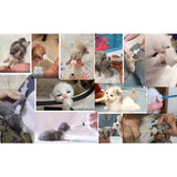 Maxbell 2Pcs Replacement Nipples Bottle Newborn Milk Feeding for Cats Dogs