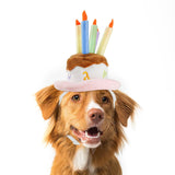 Maxbell Adorable Dog Cat Birthday Hat Outfits Pet Headwear for Puppy Halloween