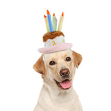 Maxbell Adorable Dog Cat Birthday Hat Outfits Pet Headwear for Puppy Halloween