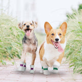 Maxbell 20 Pieces Pet Disposable Shoes Paw Protection Cloth Covers Anti Dirty Boots L