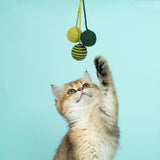Maxbell Funny Cat Toy Balls Sisal Interactive Pet for Pet Supplies Kitten Green