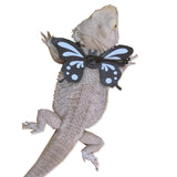 Maxbell Leash Control Rope Walking Lead Harness for Reptiles Gecko Black