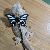 Maxbell Leash Control Rope Walking Lead Harness for Reptiles Gecko Black