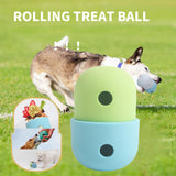 Maxbell Durable Dog Chew Toy Leakage Toy Puppy Playing Exercise for Medium Dogs Blue Green