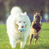Maxbell Durable Dog Chew Toy Leakage Toy Puppy Playing Exercise for Medium Dogs White Blue