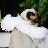 Maxbell Costume Pet Cosplay Small Dog Funny Gift Birthday Halloween Angel Wings S White