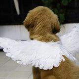 Maxbell Costume Pet Cosplay Small Dog Funny Gift Birthday Halloween Angel Wings S White
