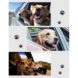 Maxbell Pet Dog Car Boot Liner Back Seat Cover Hammock for SUV Sedans