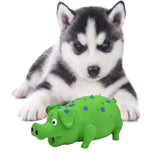 Maxbell Dog Chew Toy, Pet Interactive Durable Rubber Grunting Pig Squeaky Dog Toy Green