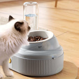 Maxbell Tilted Cat Food Bowl Set Food and Water Multifunctional for Small Dogs