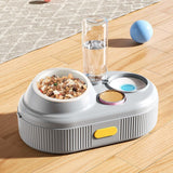 Maxbell Tilted Cat Food Bowl Set Food and Water Multifunctional for Small Dogs