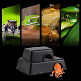 Maxbell Reptile Hideout Box Small Animal Hideaway for Spiders, Rodents, Lizards M StyleC