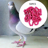 Maxbell 50x 2023 Pigeon Leg Rings Bird Foot Bands for Bantam Finch Canary Pink