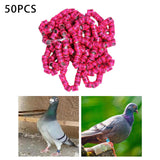 Maxbell 50x 2023 Pigeon Leg Rings Bird Foot Bands for Bantam Finch Canary Pink