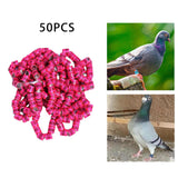 Maxbell 50x 2023 Pigeon Leg Rings Bird Foot Bands for Bantam Finch Canary Pink