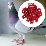 Maxbell 50x 2023 Pigeon Leg Rings Bird Foot Bands for Bantam Finch Canary Red
