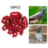 Maxbell 50x 2023 Pigeon Leg Rings Bird Foot Bands for Bantam Finch Canary Red