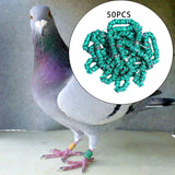 Maxbell 50x 2023 Pigeon Leg Rings Bird Foot Bands for Bantam Finch Canary Green