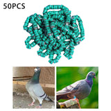 Maxbell 50x 2023 Pigeon Leg Rings Bird Foot Bands for Bantam Finch Canary Green