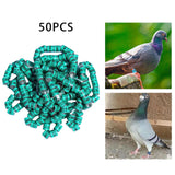 Maxbell 50x 2023 Pigeon Leg Rings Bird Foot Bands for Bantam Finch Canary Green
