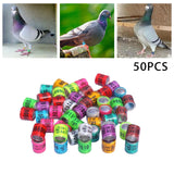 Maxbell 50x 2023 Pigeon Leg Rings Bird Foot Bands for Bantam Finch Canary Mixed Color