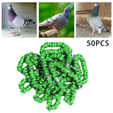 Maxbell 50x 2023 Pigeon Leg Rings Bird Foot Bands for Bantam Finch Canary Grass Green