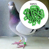 Maxbell 50x 2023 Pigeon Leg Rings Bird Foot Bands for Bantam Finch Canary Grass Green