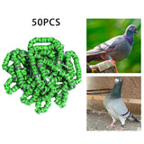Maxbell 50x 2023 Pigeon Leg Rings Bird Foot Bands for Bantam Finch Canary Grass Green