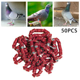Maxbell 50x 2023 Pigeon Leg Rings Bird Foot Bands for Bantam Finch Canary Brown