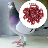 Maxbell 50x 2023 Pigeon Leg Rings Bird Foot Bands for Bantam Finch Canary Brown