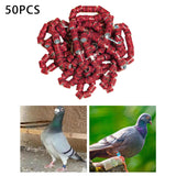 Maxbell 50x 2023 Pigeon Leg Rings Bird Foot Bands for Bantam Finch Canary Brown