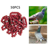 Maxbell 50x 2023 Pigeon Leg Rings Bird Foot Bands for Bantam Finch Canary Brown